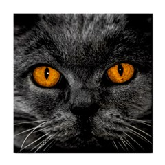 Cat Eyes Background Image Hypnosis Tile Coasters by BangZart