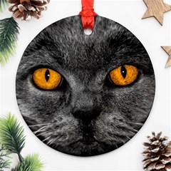 Cat Eyes Background Image Hypnosis Ornament (round) by BangZart