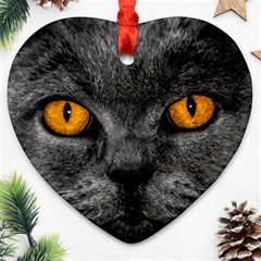 Cat Eyes Background Image Hypnosis Ornament (heart) by BangZart