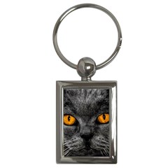 Cat Eyes Background Image Hypnosis Key Chains (rectangle)  by BangZart