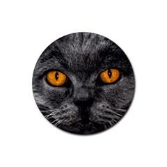 Cat Eyes Background Image Hypnosis Rubber Coaster (round)  by BangZart