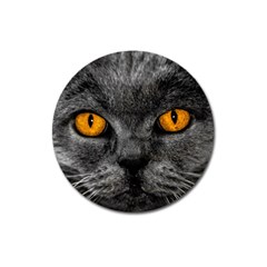 Cat Eyes Background Image Hypnosis Magnet 3  (round) by BangZart