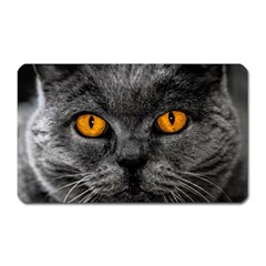 Cat Eyes Background Image Hypnosis Magnet (rectangular) by BangZart