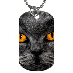 Cat Eyes Background Image Hypnosis Dog Tag (one Side) by BangZart