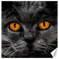 Cat Eyes Background Image Hypnosis Canvas 20  X 20   by BangZart