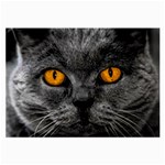 Cat Eyes Background Image Hypnosis Large Glasses Cloth (2-Side) Front