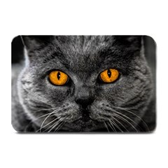 Cat Eyes Background Image Hypnosis Plate Mats by BangZart