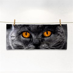 Cat Eyes Background Image Hypnosis Cosmetic Storage Cases by BangZart