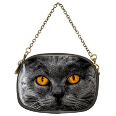 Cat Eyes Background Image Hypnosis Chain Purses (one Side)  by BangZart