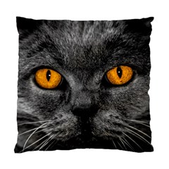 Cat Eyes Background Image Hypnosis Standard Cushion Case (two Sides)