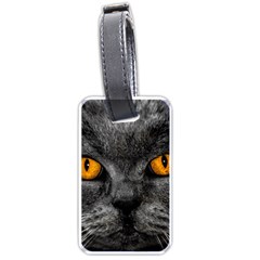 Cat Eyes Background Image Hypnosis Luggage Tags (one Side) 