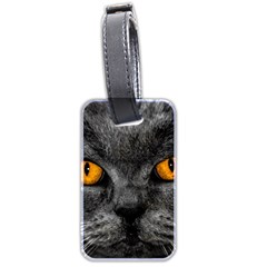 Cat Eyes Background Image Hypnosis Luggage Tags (two Sides) by BangZart