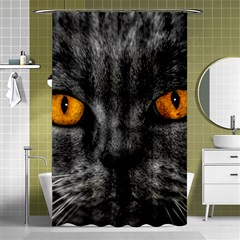 Cat Eyes Background Image Hypnosis Shower Curtain 48  X 72  (small)  by BangZart