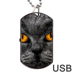 Cat Eyes Background Image Hypnosis Dog Tag Usb Flash (two Sides) by BangZart