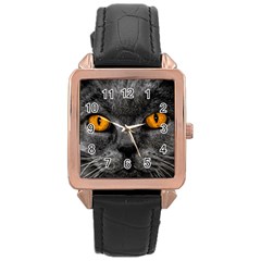 Cat Eyes Background Image Hypnosis Rose Gold Leather Watch  by BangZart