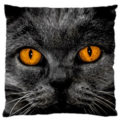 Cat Eyes Background Image Hypnosis Standard Flano Cushion Case (one Side) by BangZart