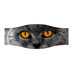 Cat Eyes Background Image Hypnosis Stretchable Headband