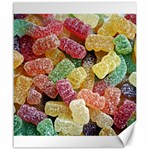 Jelly Beans Candy Sour Sweet Canvas 20  x 24   19.57 x23.15  Canvas - 1