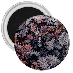 Leaf Leaves Autumn Fall Brown 3  Magnets by BangZart