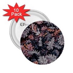 Leaf Leaves Autumn Fall Brown 2 25  Buttons (10 Pack)  by BangZart