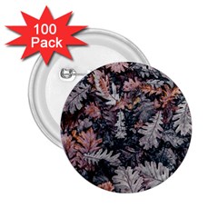 Leaf Leaves Autumn Fall Brown 2 25  Buttons (100 Pack)  by BangZart