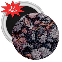 Leaf Leaves Autumn Fall Brown 3  Magnets (10 Pack)  by BangZart