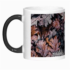 Leaf Leaves Autumn Fall Brown Morph Mugs by BangZart