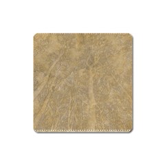 Abstract Forest Trees Age Aging Square Magnet by BangZart