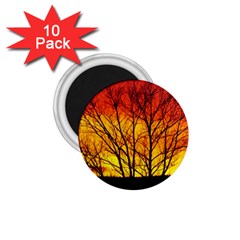 Sunset Abendstimmung 1 75  Magnets (10 Pack)  by BangZart