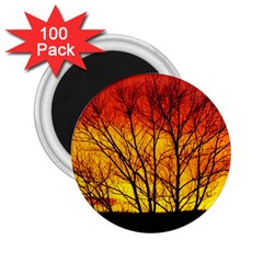 Sunset Abendstimmung 2 25  Magnets (100 Pack)  by BangZart