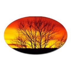 Sunset Abendstimmung Oval Magnet by BangZart