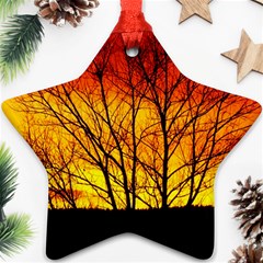 Sunset Abendstimmung Star Ornament (two Sides) by BangZart