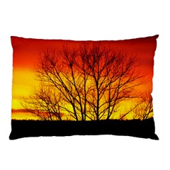 Sunset Abendstimmung Pillow Case by BangZart