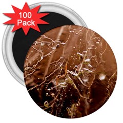 Ice Iced Structure Frozen Frost 3  Magnets (100 Pack) by BangZart