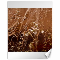 Ice Iced Structure Frozen Frost Canvas 12  X 16   by BangZart