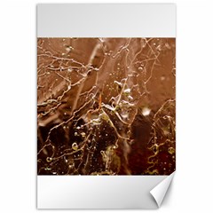 Ice Iced Structure Frozen Frost Canvas 20  X 30   by BangZart