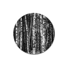 Birch Forest Trees Wood Natural Magnet 3  (round) by BangZart