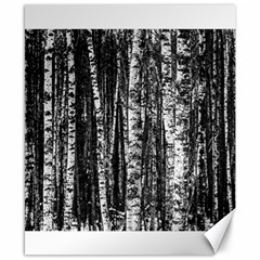 Birch Forest Trees Wood Natural Canvas 8  X 10  by BangZart