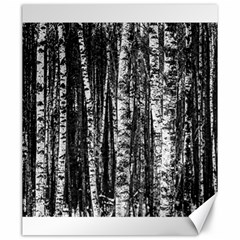 Birch Forest Trees Wood Natural Canvas 20  X 24   by BangZart