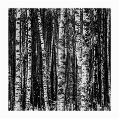 Birch Forest Trees Wood Natural Medium Glasses Cloth by BangZart