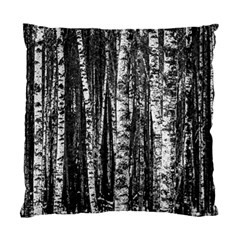 Birch Forest Trees Wood Natural Standard Cushion Case (two Sides) by BangZart