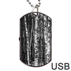 Birch Forest Trees Wood Natural Dog Tag Usb Flash (two Sides) by BangZart