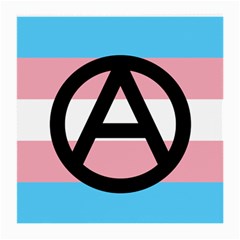 Anarchist Pride Medium Glasses Cloth by TransPrints