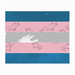 Pride Flag Small Glasses Cloth (2-side) by TransPrints