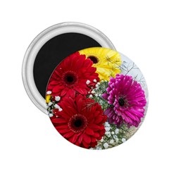 Flowers Gerbera Floral Spring 2 25  Magnets by BangZart