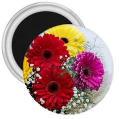 Flowers Gerbera Floral Spring 3  Magnets by BangZart