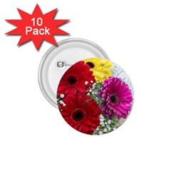 Flowers Gerbera Floral Spring 1 75  Buttons (10 Pack) by BangZart