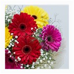 Flowers Gerbera Floral Spring Medium Glasses Cloth Front