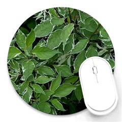 Texture Leaves Light Sun Green Round Mousepads by BangZart