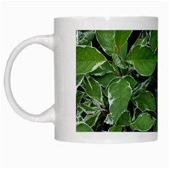 Texture Leaves Light Sun Green White Mugs by BangZart